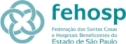 Logo Fehosp site