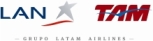 Logo LATAM site